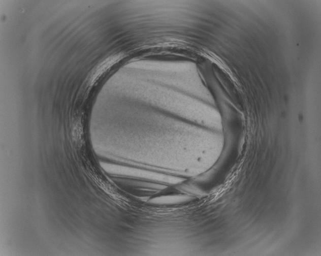 X0000067460826200605051619