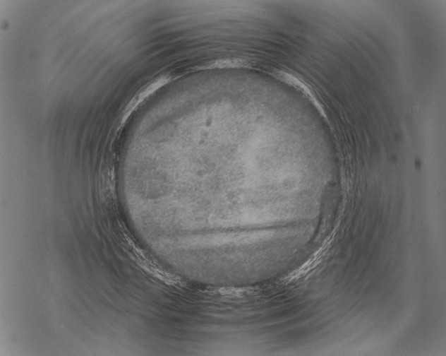 X0000067460827200605051619