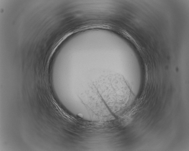 X0000067460828200605051619