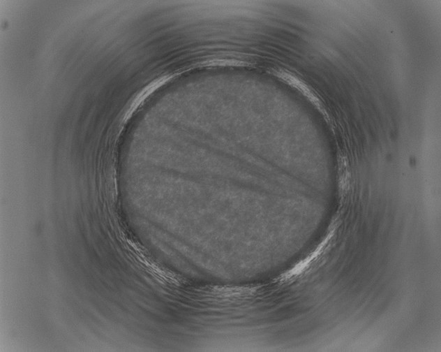 X0000067460829200605051619