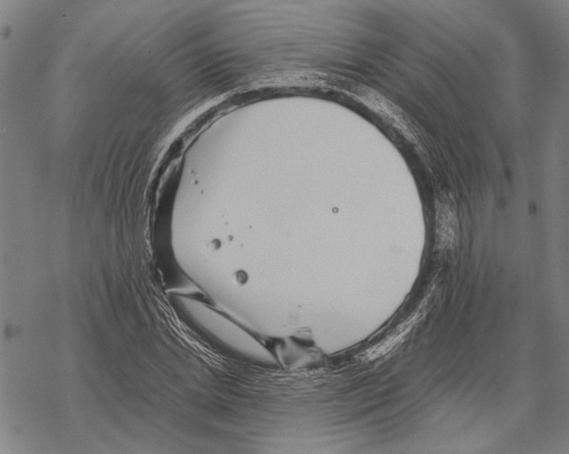 X0000067460830200605051619