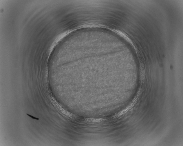 X0000067460831200605051619