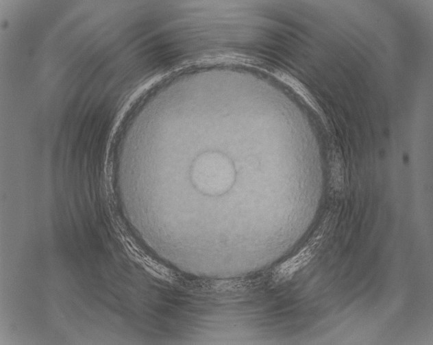 X0000067460832200605051619