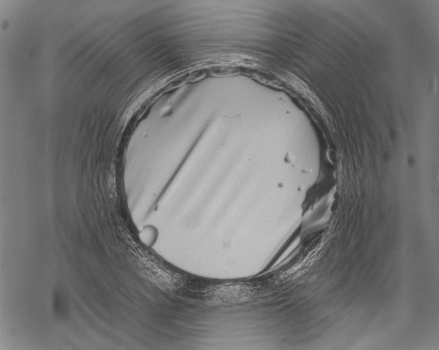 X0000067460834200605051619