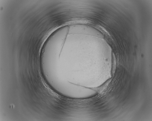 X0000067460836200605051620