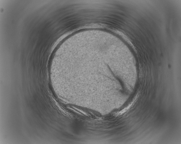 X0000067460837200605051620