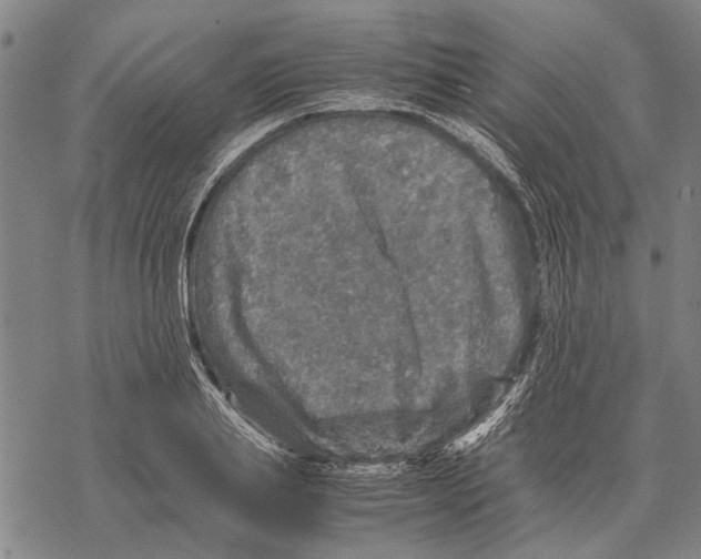 X0000067460839200605051620