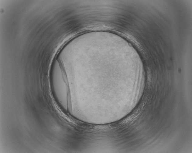 X0000067460840200605051620