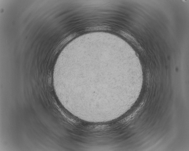 X0000067460841200605051620