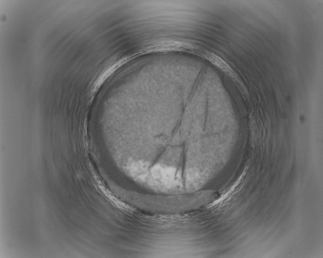 X0000067460842200605051620