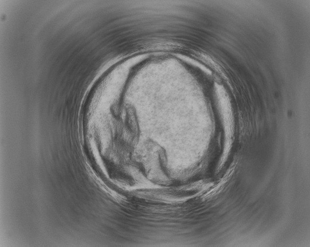 X0000067460843200605051620