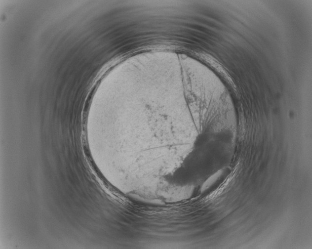 X0000067460845200605051620