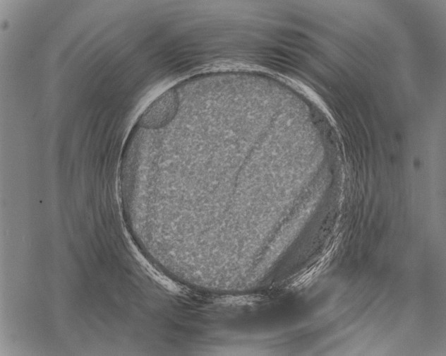 X0000067460847200605051620