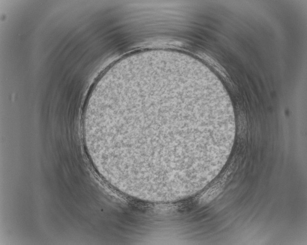 X0000067460848200605051620