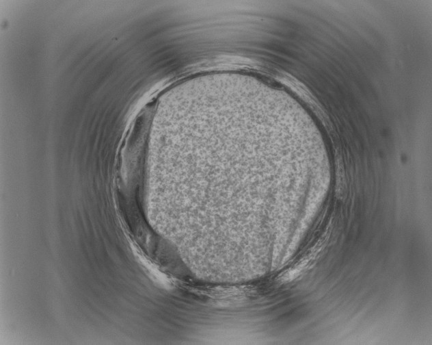 X0000067460850200605051620