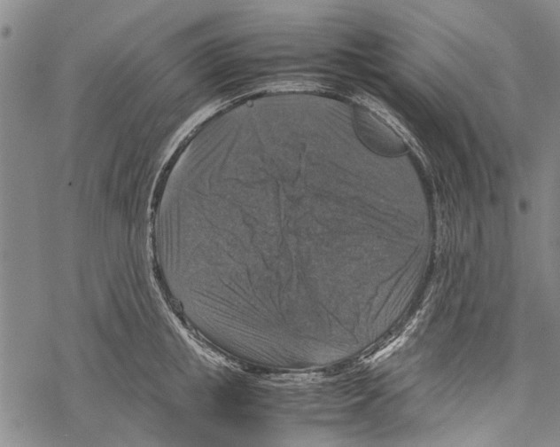 X0000067460853200605051620