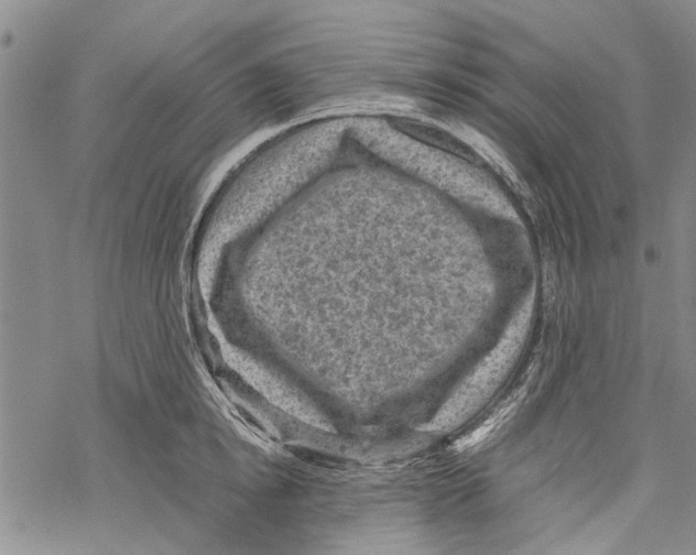 X0000067460854200605051620