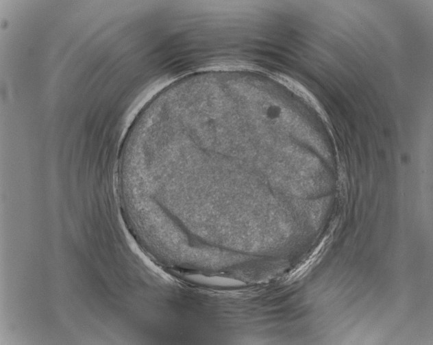 X0000067460855200605051620