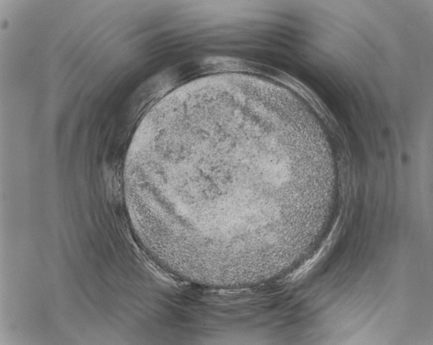 X0000067460857200605051620