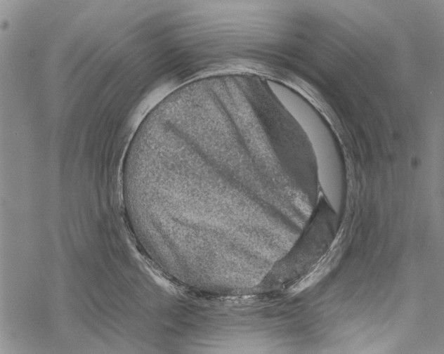 X0000067460858200605051620