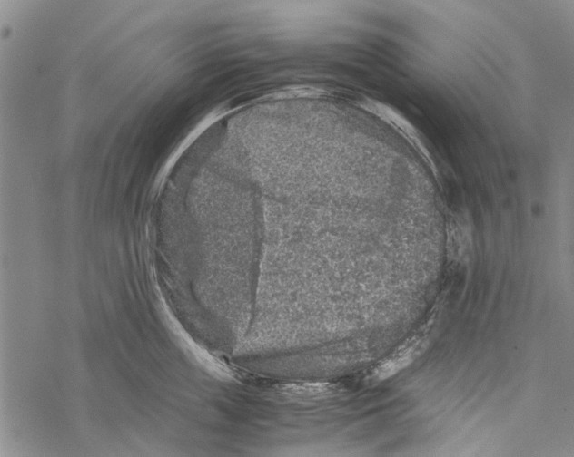 X0000067460859200605051620