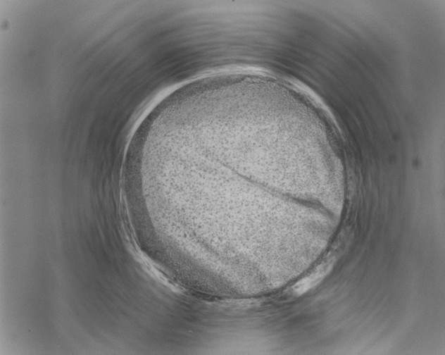 X0000067460860200605051620