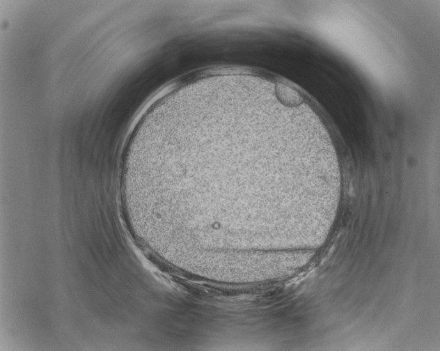 X0000067460861200605051620