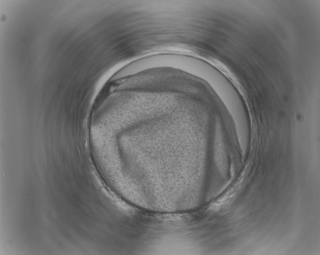 X0000067460862200605051620