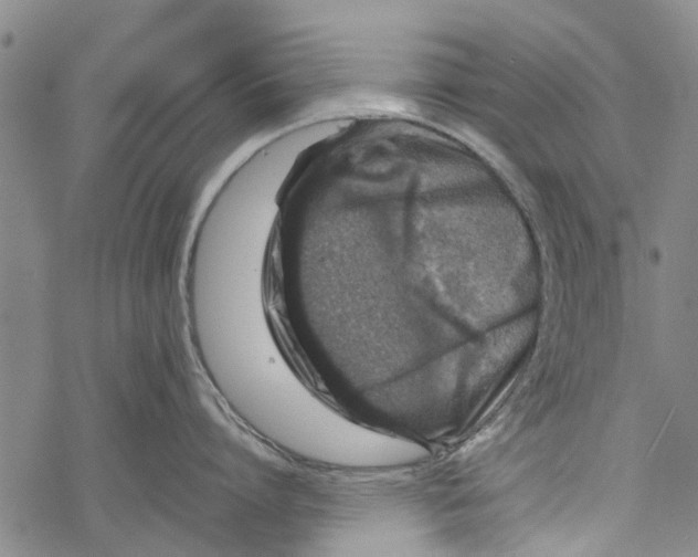 X0000067460864200605051620