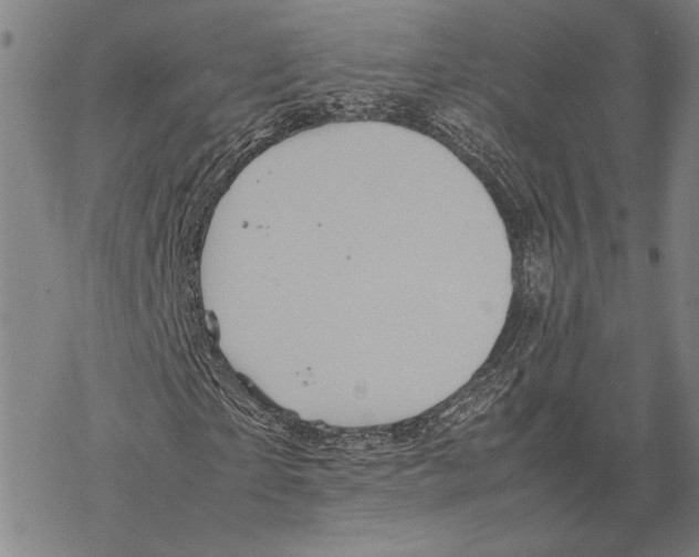 X0000067460865200605051619