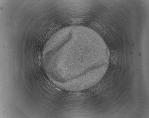 X0000067460866200605051619