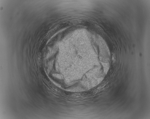 X0000067460867200605051619