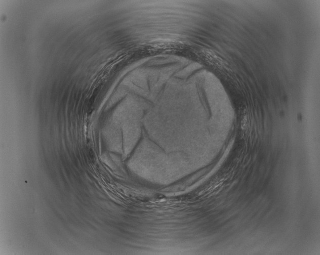 X0000067460868200605051619