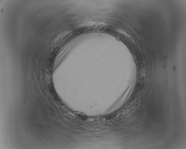 X0000067460869200605051619