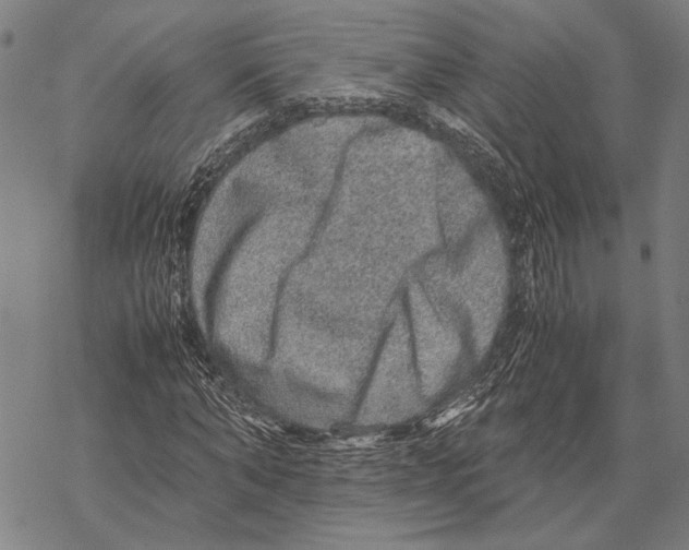 X0000067460870200605051619