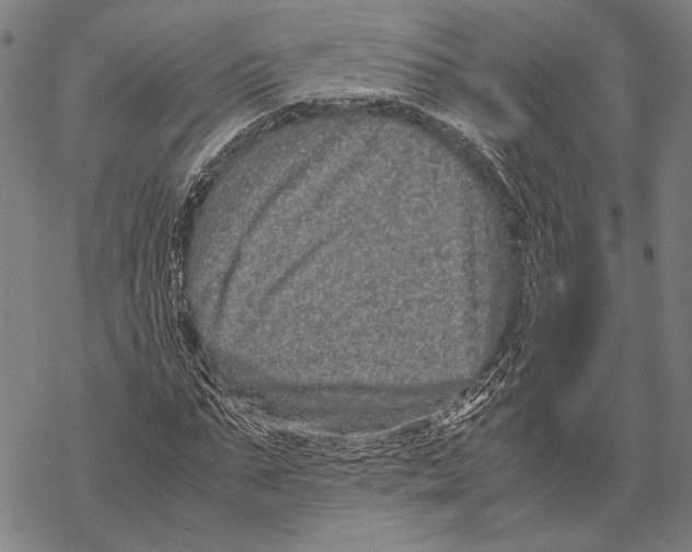 X0000067460871200605051619