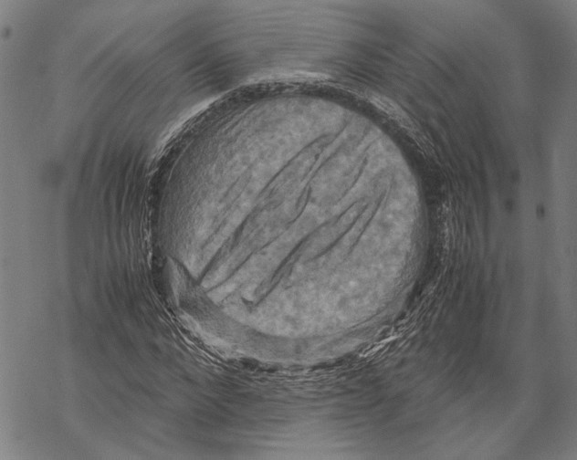 X0000067460872200605051619