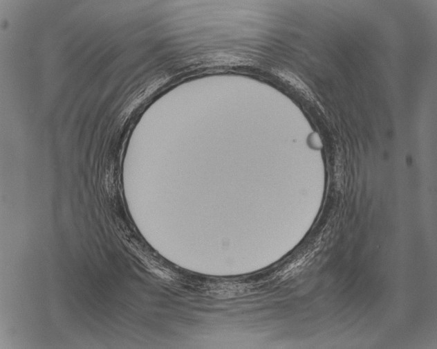 X0000067460873200605051619