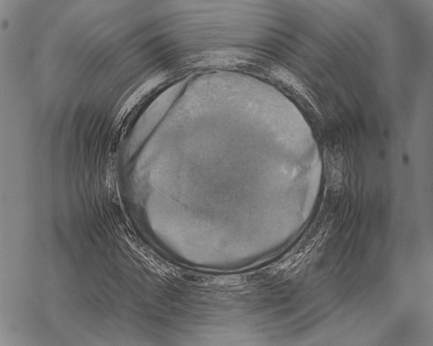 X0000067460874200605051619