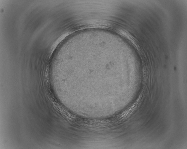 X0000067460875200605051619