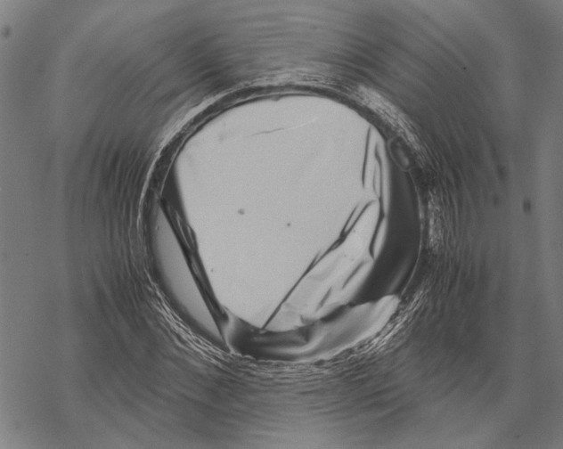 X0000067460876200605051619