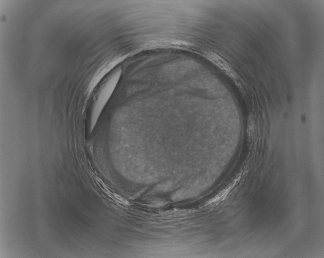 X0000067460877200605051619