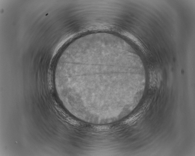 X0000067460878200605051619