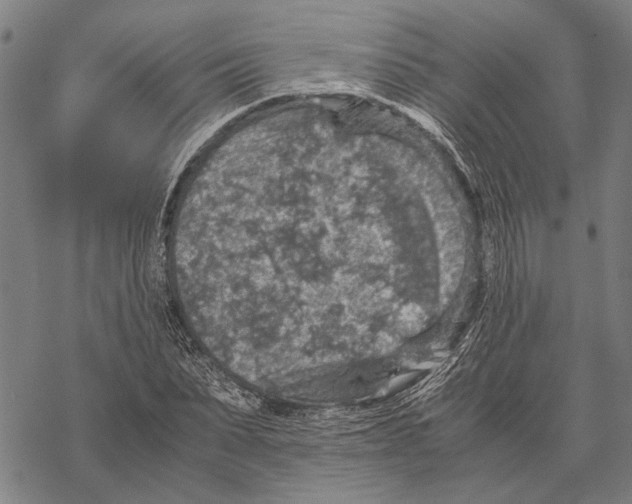 X0000067460879200605051619