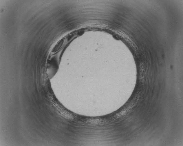 X0000067460880200605051619