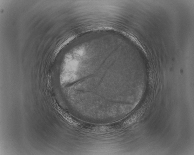 X0000067460881200605051619