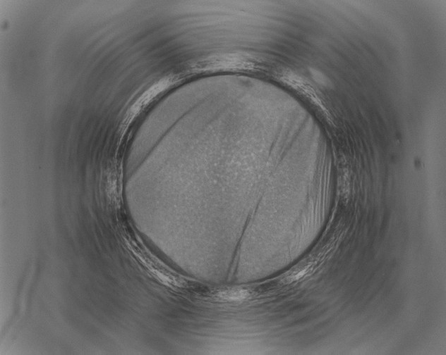 X0000067460882200605051619