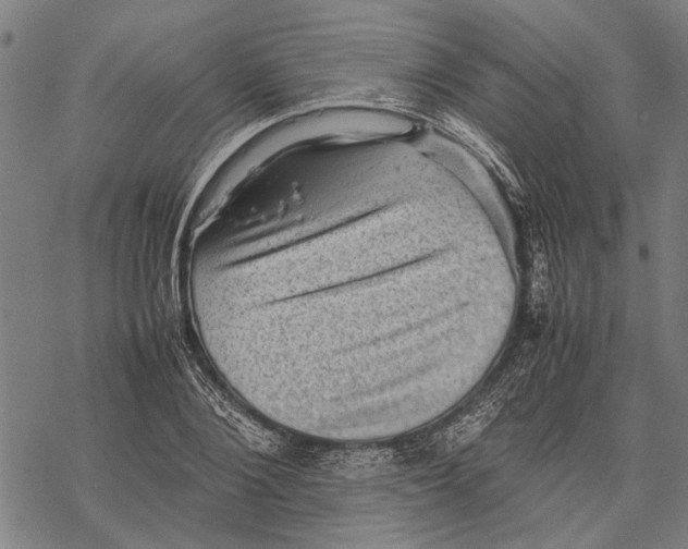 X0000067460884200605051619