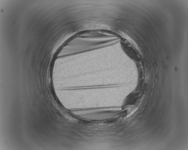 X0000067460885200605051619