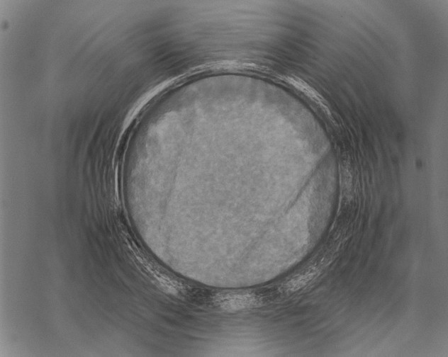 X0000067460886200605051619